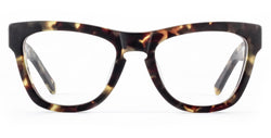 Pioneer Optical 08