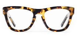 Pioneer Optical 09