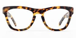 Pioneer Optical 10